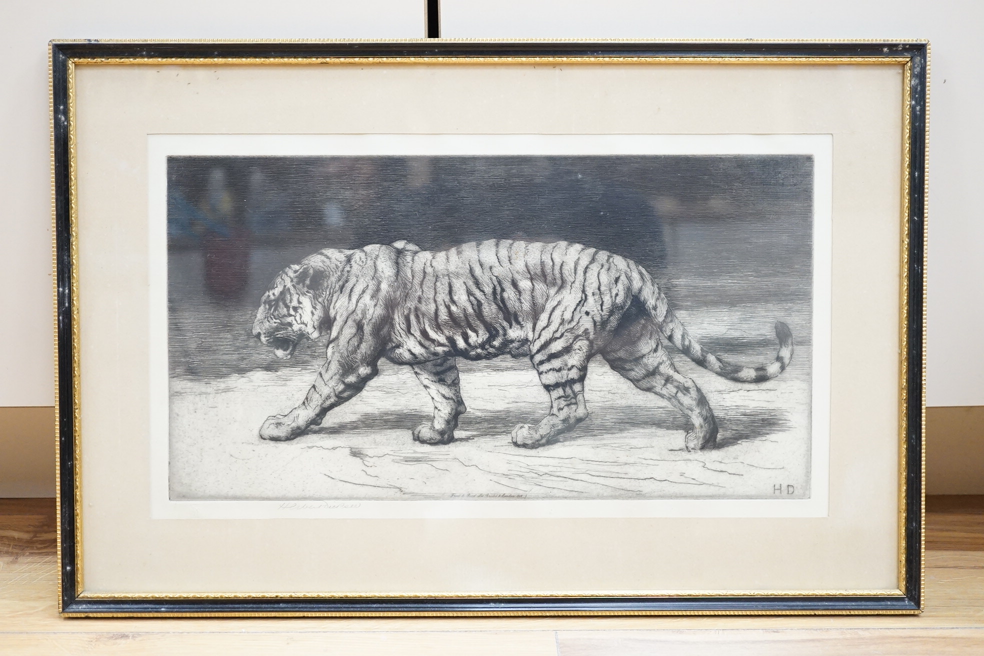 Herbert Dicksee RE (1862-1942), etching, 'A Bengal Tiger', artist's proof, signed in pencil, blindstamped, limited to 100, published by Frost & Reed, Ltd., Bristol & London, 1915, 21 x 36cm. Condition - good